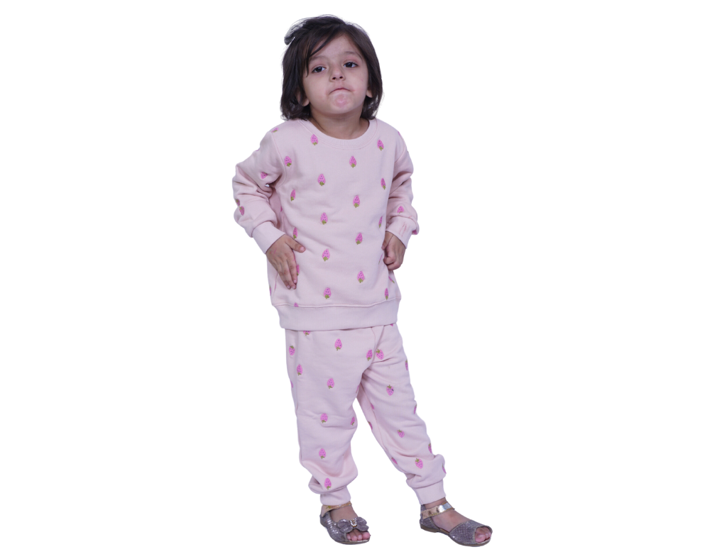 Baby Pink Thread Embalished Terry Sweat Suit