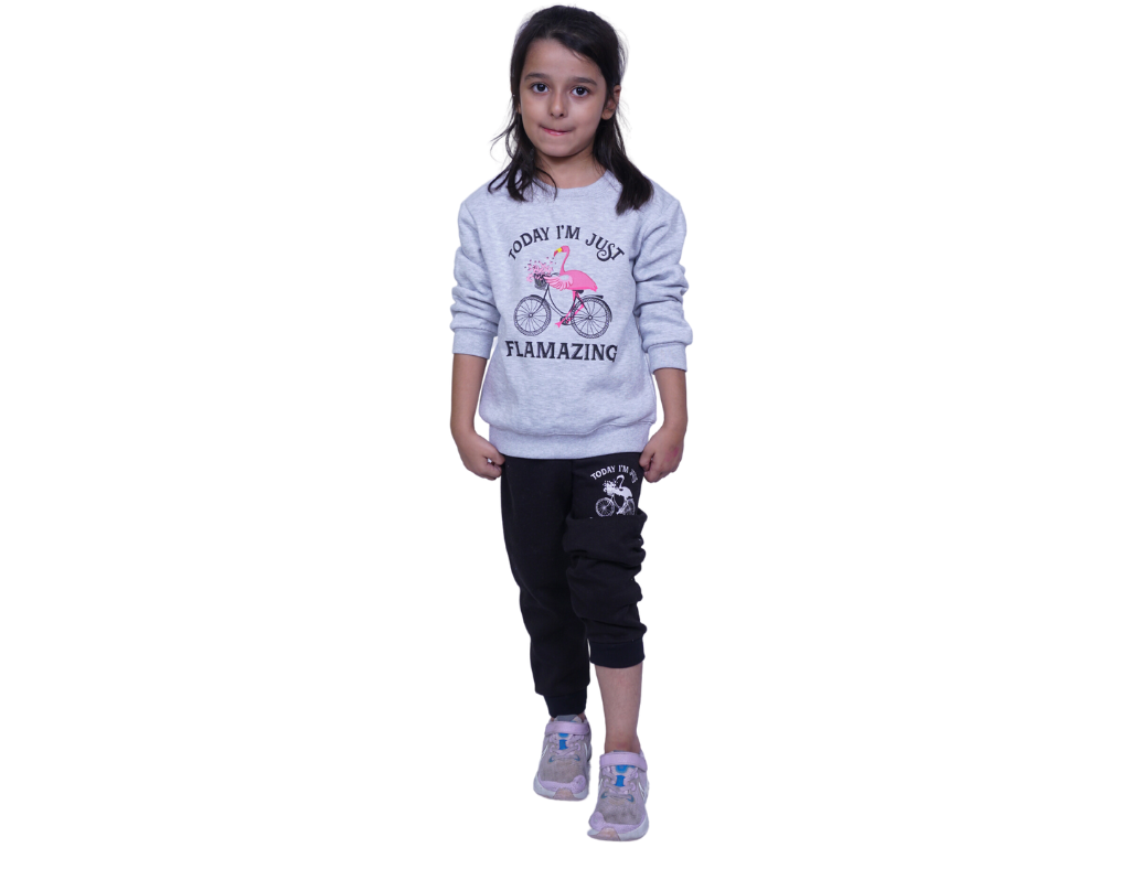 Flamingo Girl Sweat Suit 2 PC