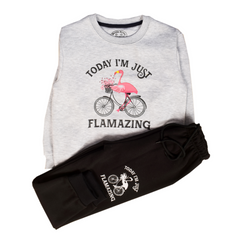 Flamingo Girl Sweat Suit 2 PC