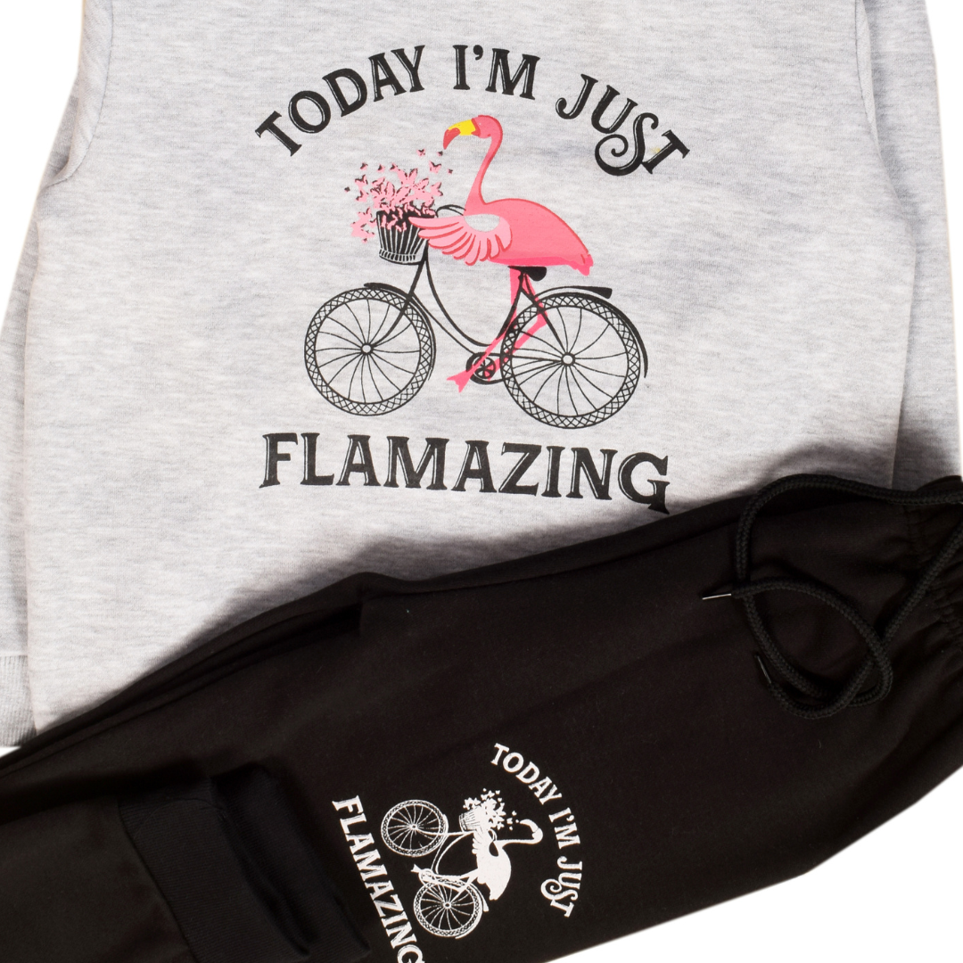 Flamingo Girl Sweat Suit 2 PC